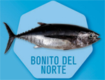 Bonito Bonito